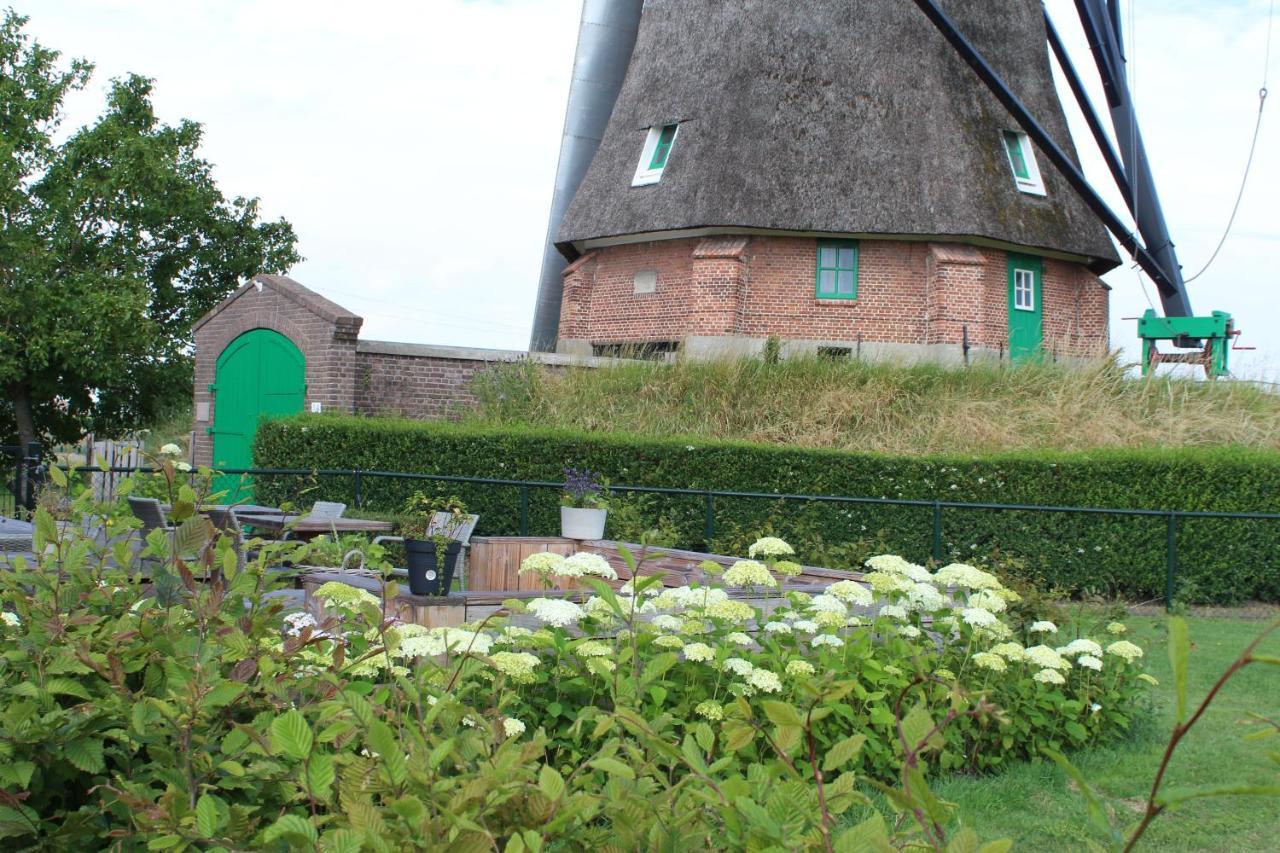 Bij Molen De Blazekop, Rustig En Landelijk Ovezande Exterior foto